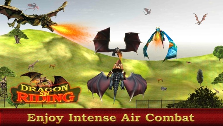 Dragon Rider : Play the game to win dragon throne Image