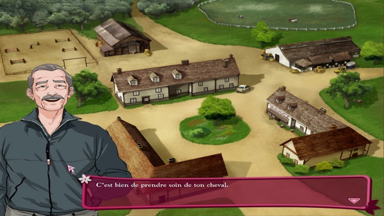 Ellen Whitaker's Horse Life Image