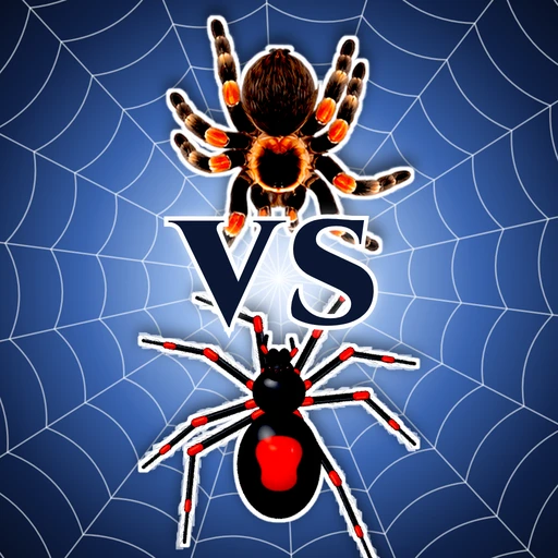 Games like Spider World