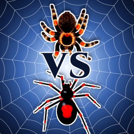 Spider World Image