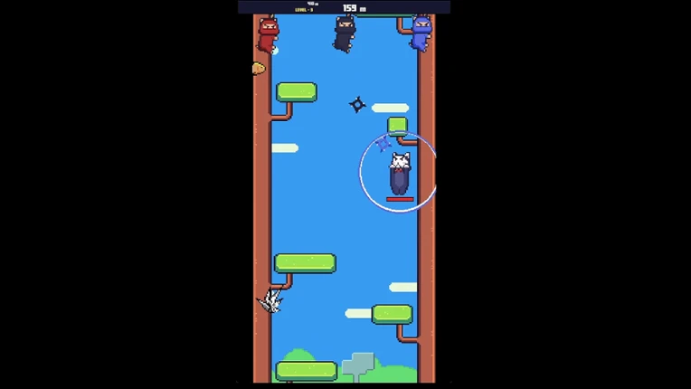Ninja Cat Image