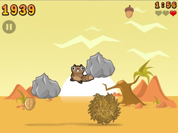 Noogra Nuts Image
