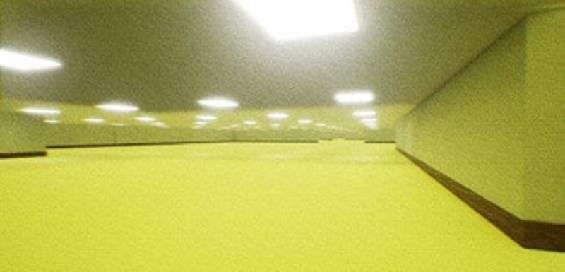The Backrooms Image