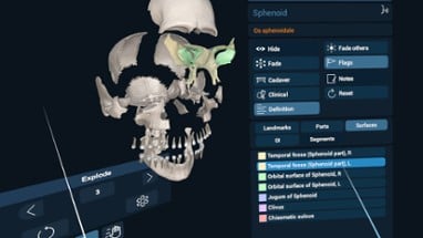 3D Organon XR Image