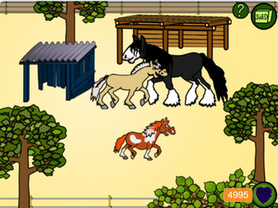 Blackberry Paddock screenshot