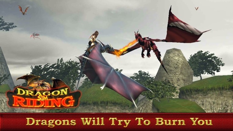 Dragon Rider : Play the game to win dragon throne screenshot