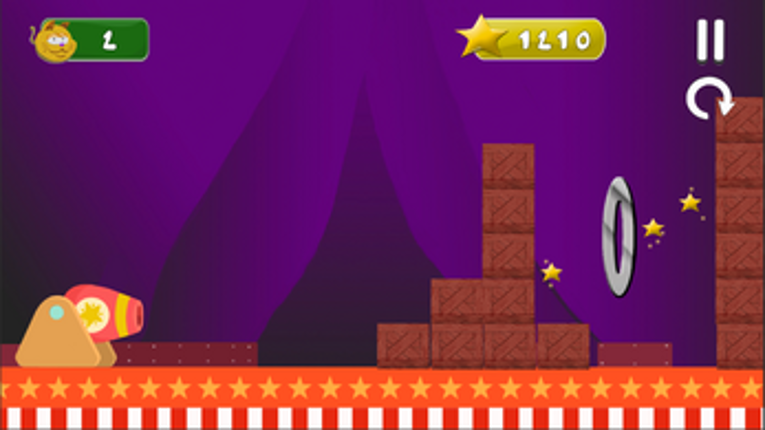 Flying Circus Image