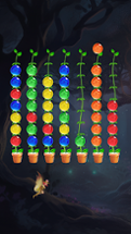 Ball Sort - Color Puzzle Game Image