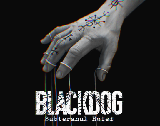 BLACKDOG - Subteranul Hoiei Game Cover