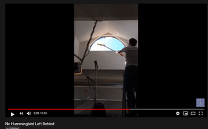 No Hummingbird Left Behind Image