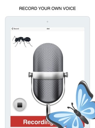 Insects Flashcard for babies and preschool Image