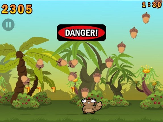 Noogra Nuts Image