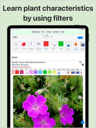 Plant Identifier &amp; Care Image