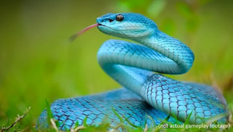 snake1000 + snake10 screenshot