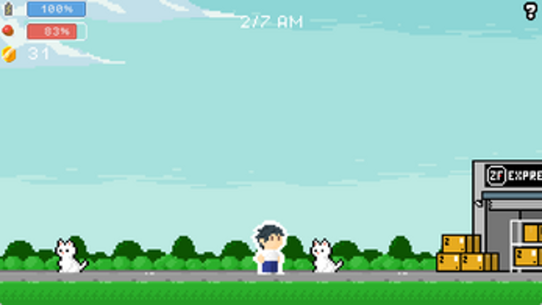 Stray animals in life Image