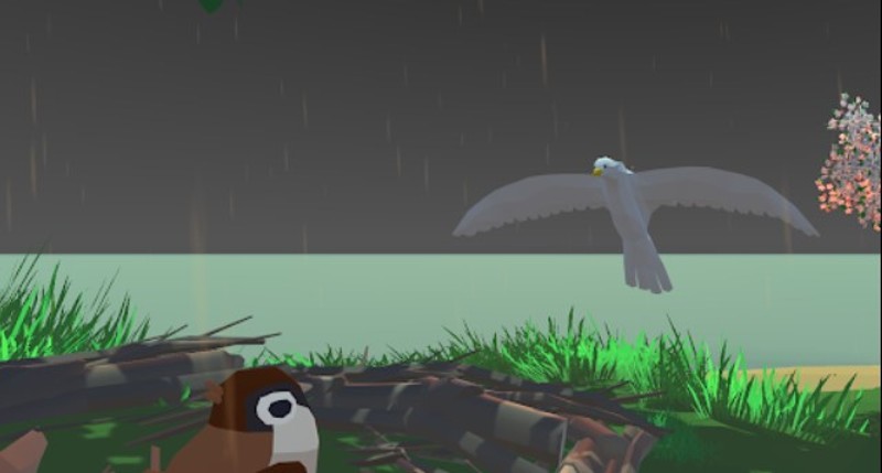 Albatross Image