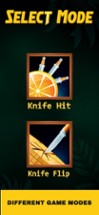 Flippy Knife Spin Master Image