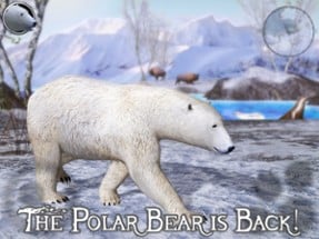 Polar Bear Simulator 2 Image