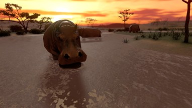 SAVANNA SHOT VR Image