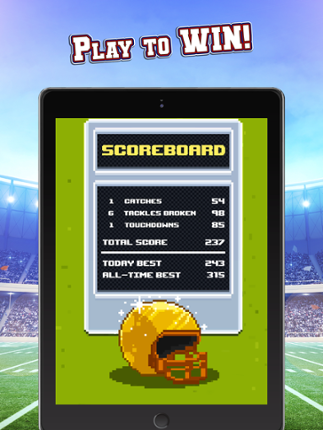 Touchdown Hero: New Season screenshot