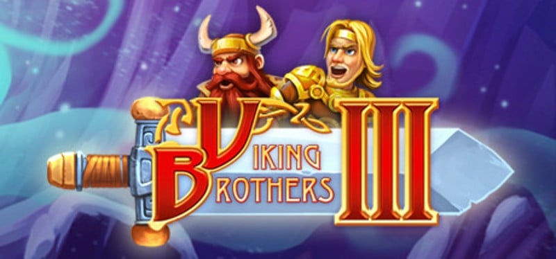 Viking Brothers 3 Game Cover