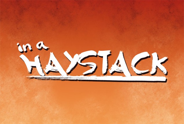 In a Haystack Image