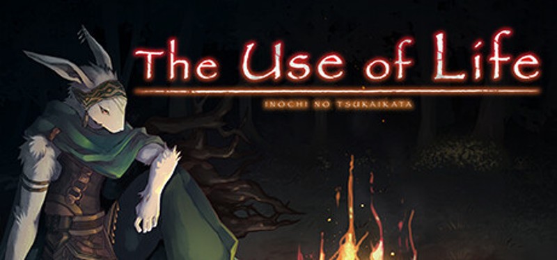 The Use of Life Image