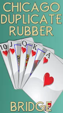 Bridge V+ fun bridge card game screenshot