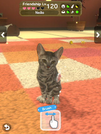 with My CAT Image