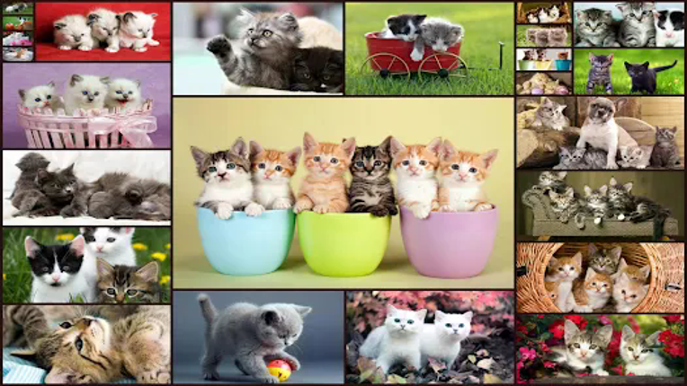 Cats Jigsaw Puzzle Game Kids Image