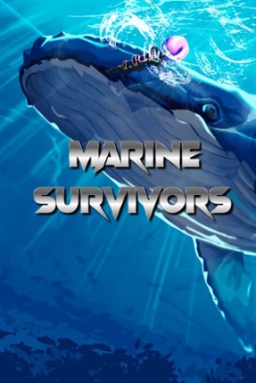 Marine Survivors Image