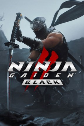 Ninja Gaiden 2 Black Image