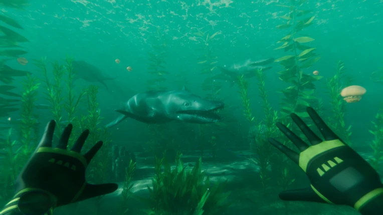 Paleo Dive Image