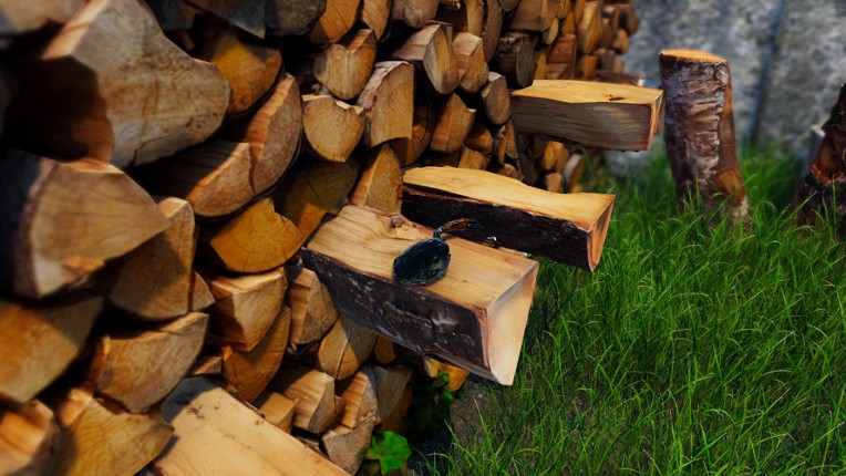 Strong Crab screenshot