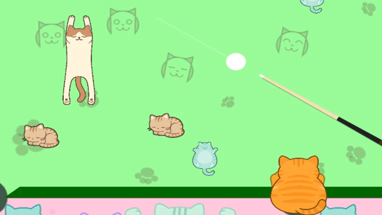 Chaos Cat Pool Image