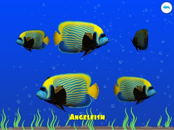 Dancing fishes. 3D Coloring App screenshot