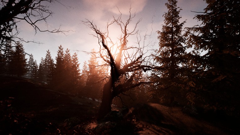 Dwelling on the Hill screenshot