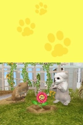 Petz Puppyz and Kittenz screenshot