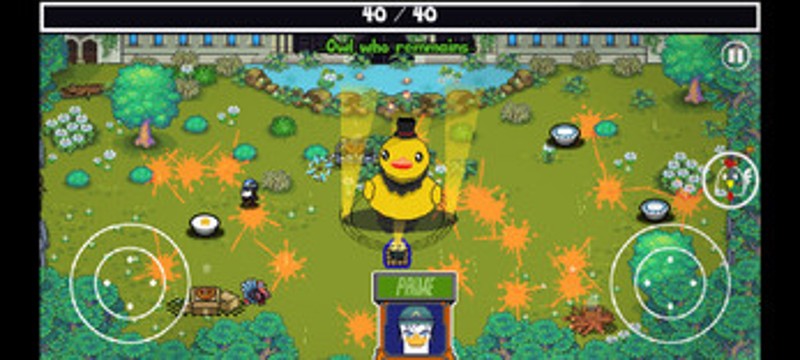 QuackSquad Image