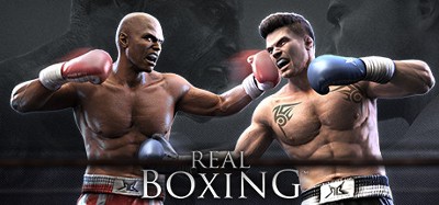 Real Boxing Image