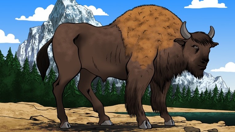 Animal Puzzle Jigsaw Image