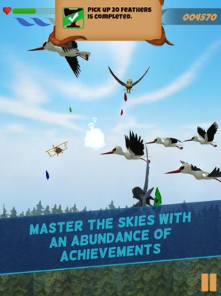 AvianJam - Bird Flight Image
