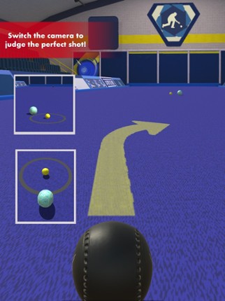 Bowls Pro screenshot