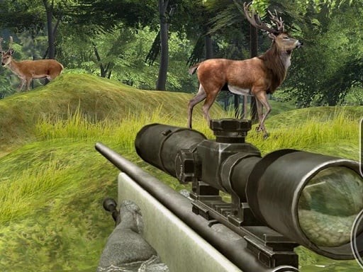 Games like Sniper Hunting Deadly Animal