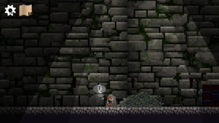 Stray at Time Image