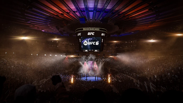 UFC 6 screenshot