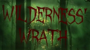 Games like Wilderness' wrath