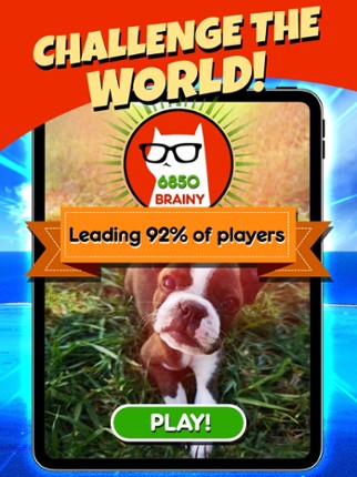 Word Search Pets screenshot