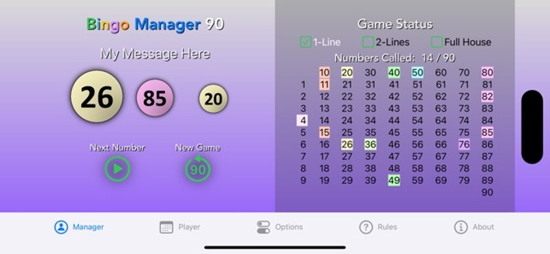 Bingo Manager 90 screenshot