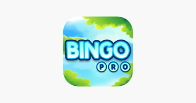 Bingo Masters Professional Image